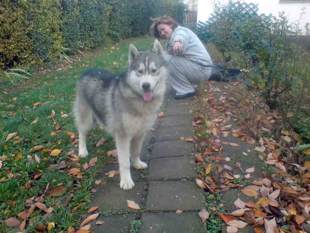 Mali Cane