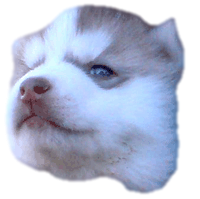 lepooka funy girl