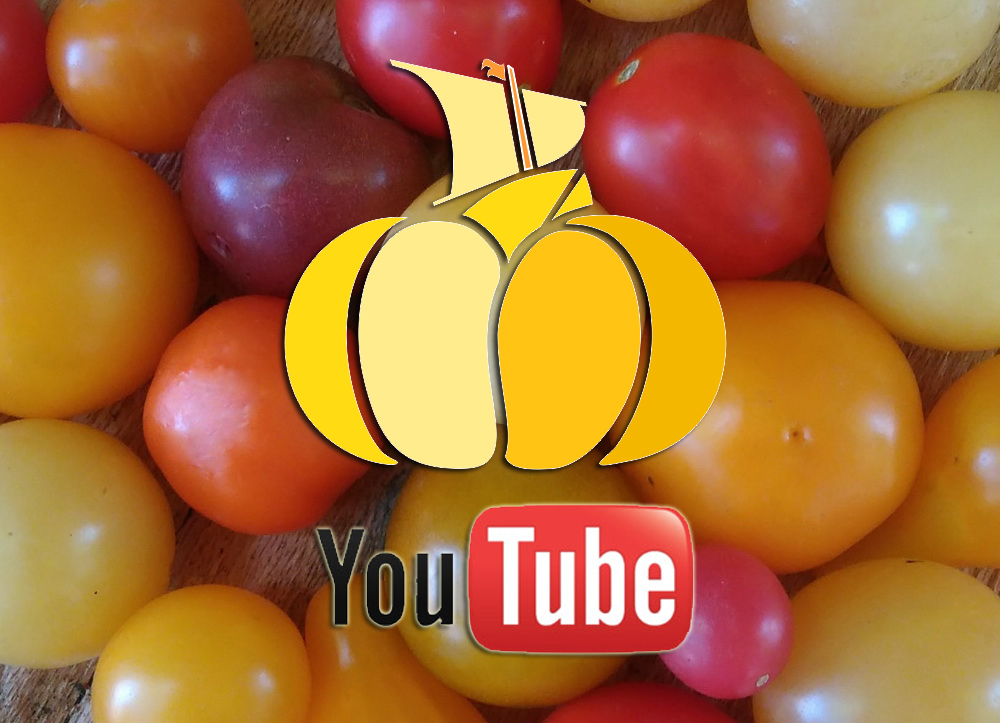 YouTube kanal o starom paradajzu