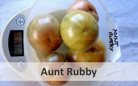 aunt rubby