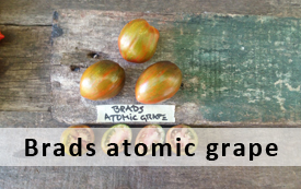 brads atomic grape