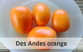 des andes orange