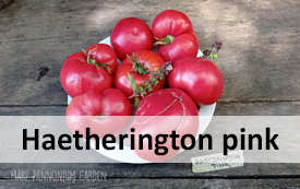 haetherington pink