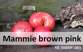 mamie browns pink