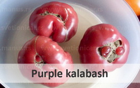 purplekalabash